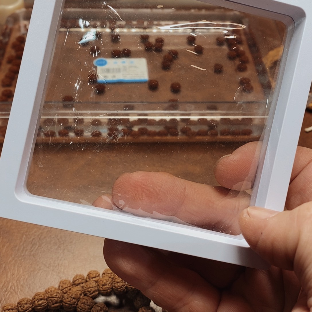 金刚菩提手串六**毒药龙鳞85