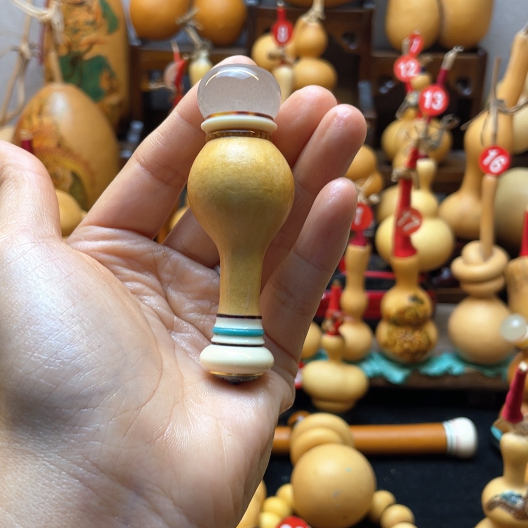 糊*哥大自然的秘密第十一节你是什么