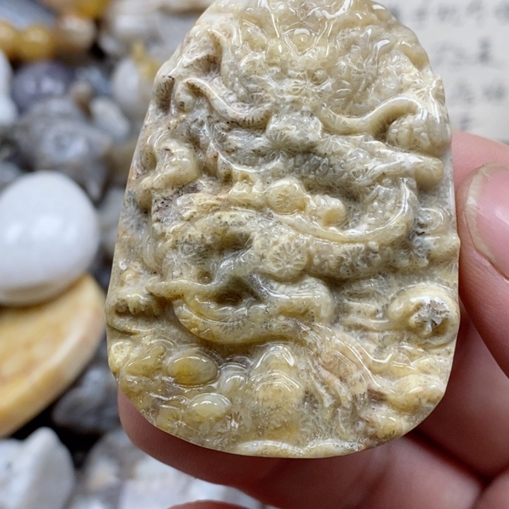 颈饰未镶嵌硅化珊瑚（珊瑚玉）