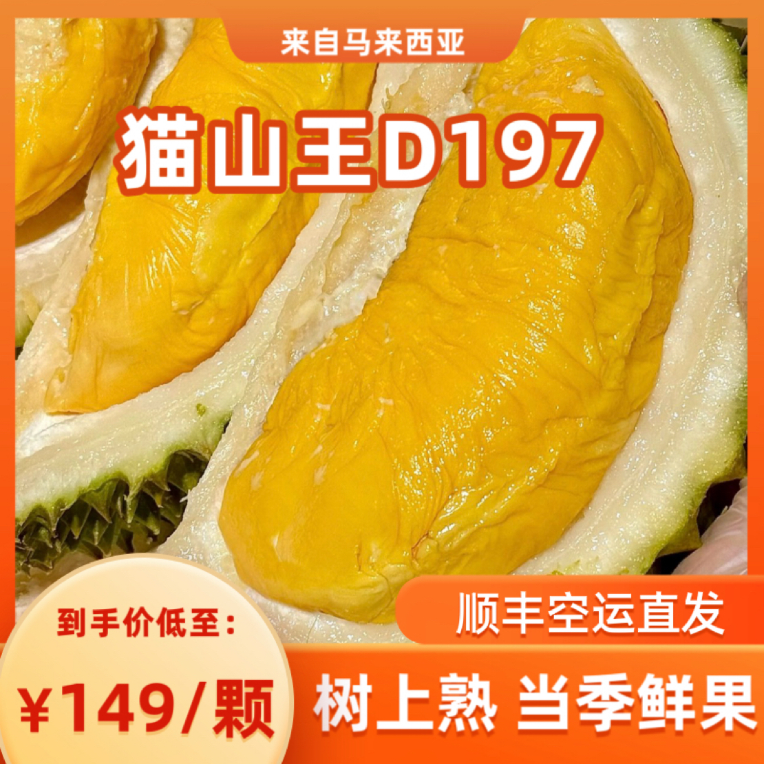 宠粉到手2颗新鲜整果【猫山王】D197单个保三房到手共6-7斤顺丰空运