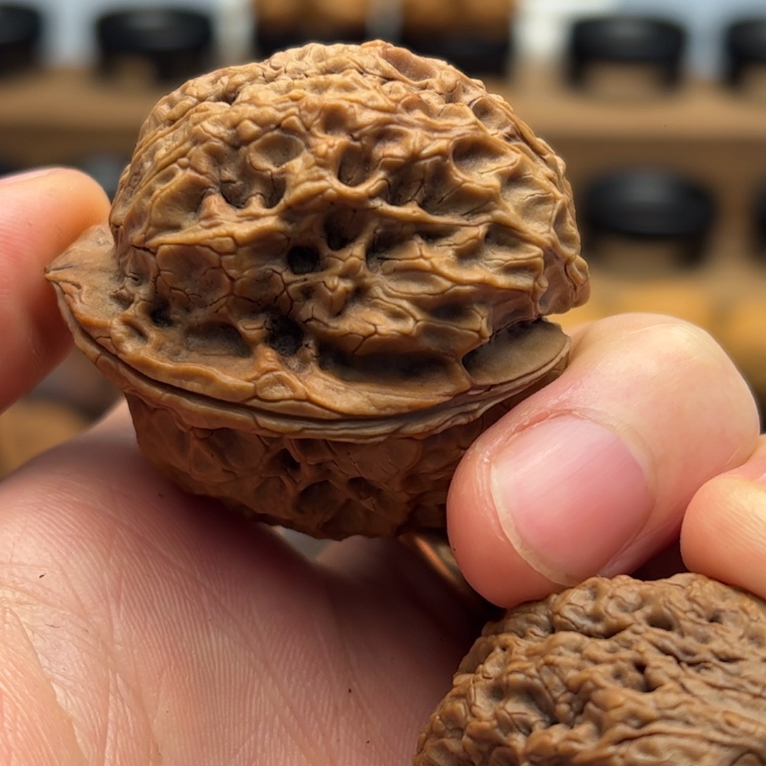 文玩核桃把件铁核桃14-22