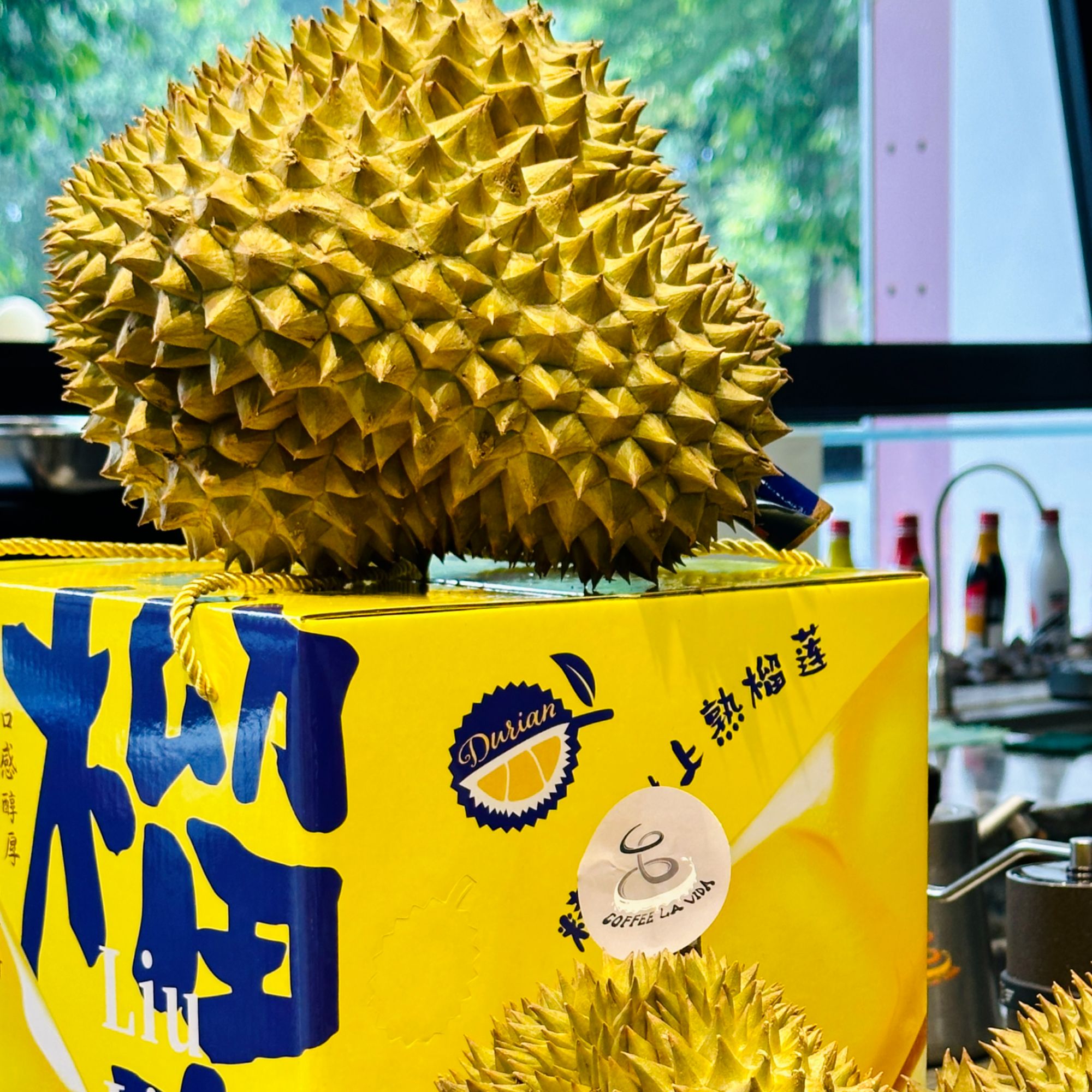 【顺丰次日达】【一物一拍】正宗泰国进口老树榴莲树熟鲜榴莲保四房一果一重核小香甜【请勿生劈】金枕泰国东部