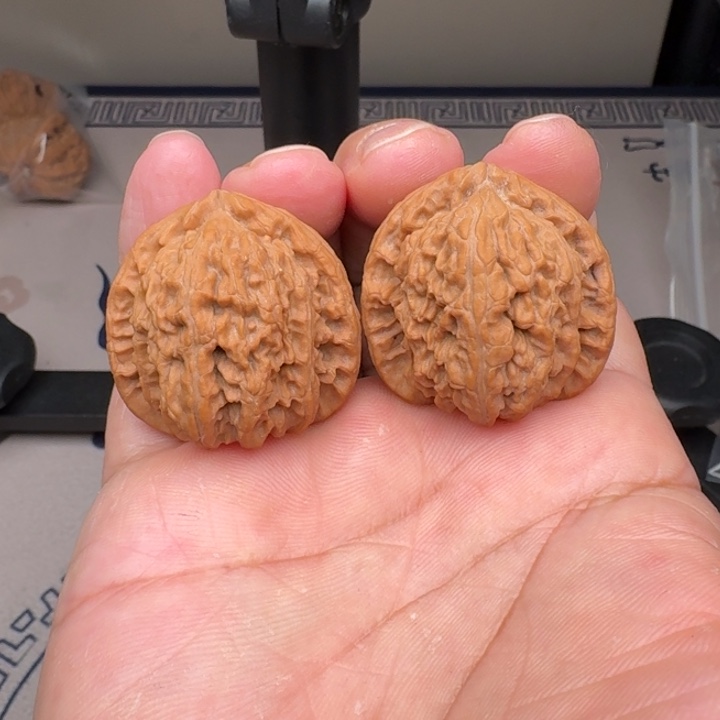 把件桃核三角白35+尺2