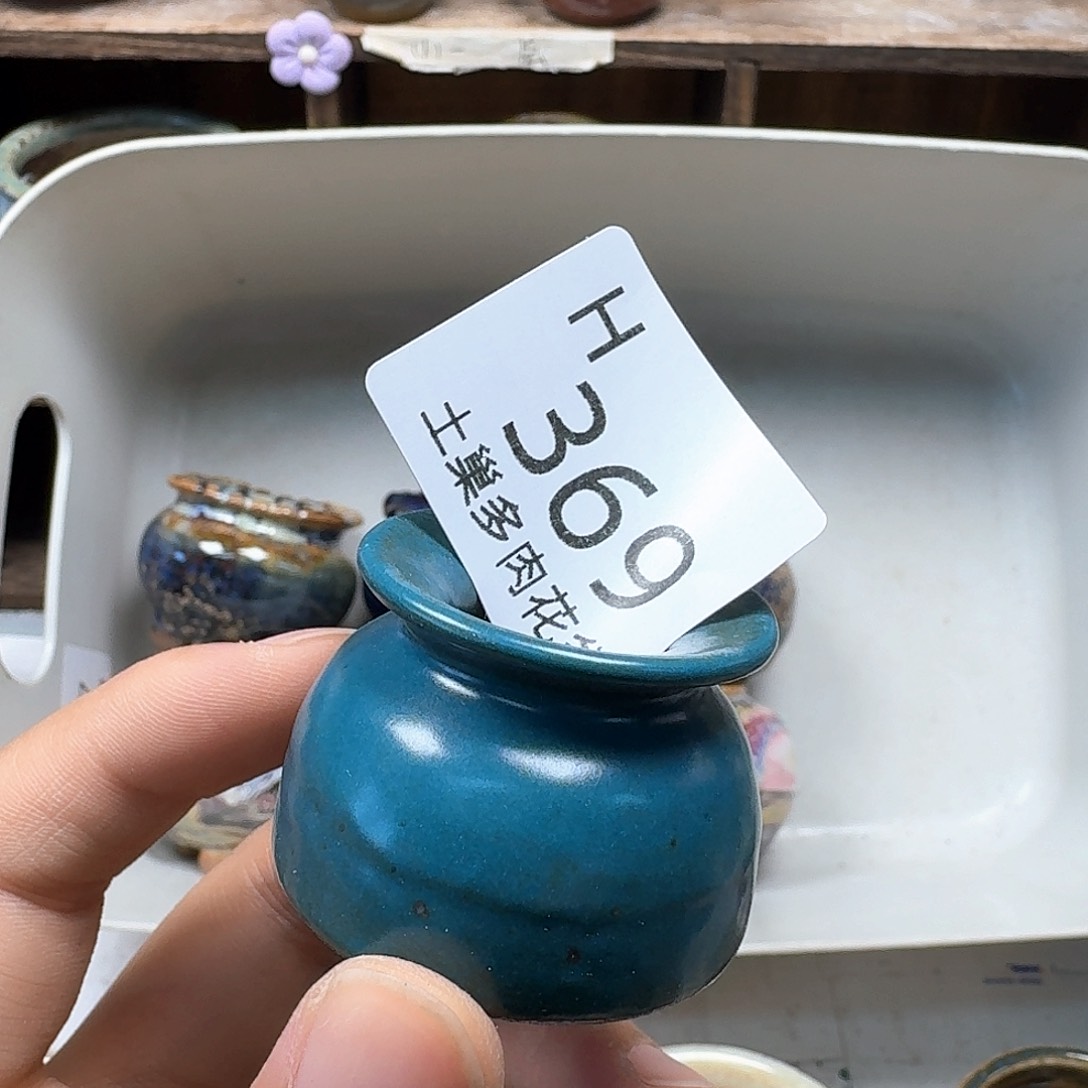 罐⭐陶瓷工艺与艺术