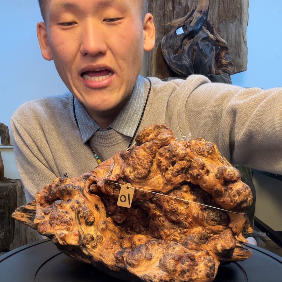 琥珀木10 号拍品摆件