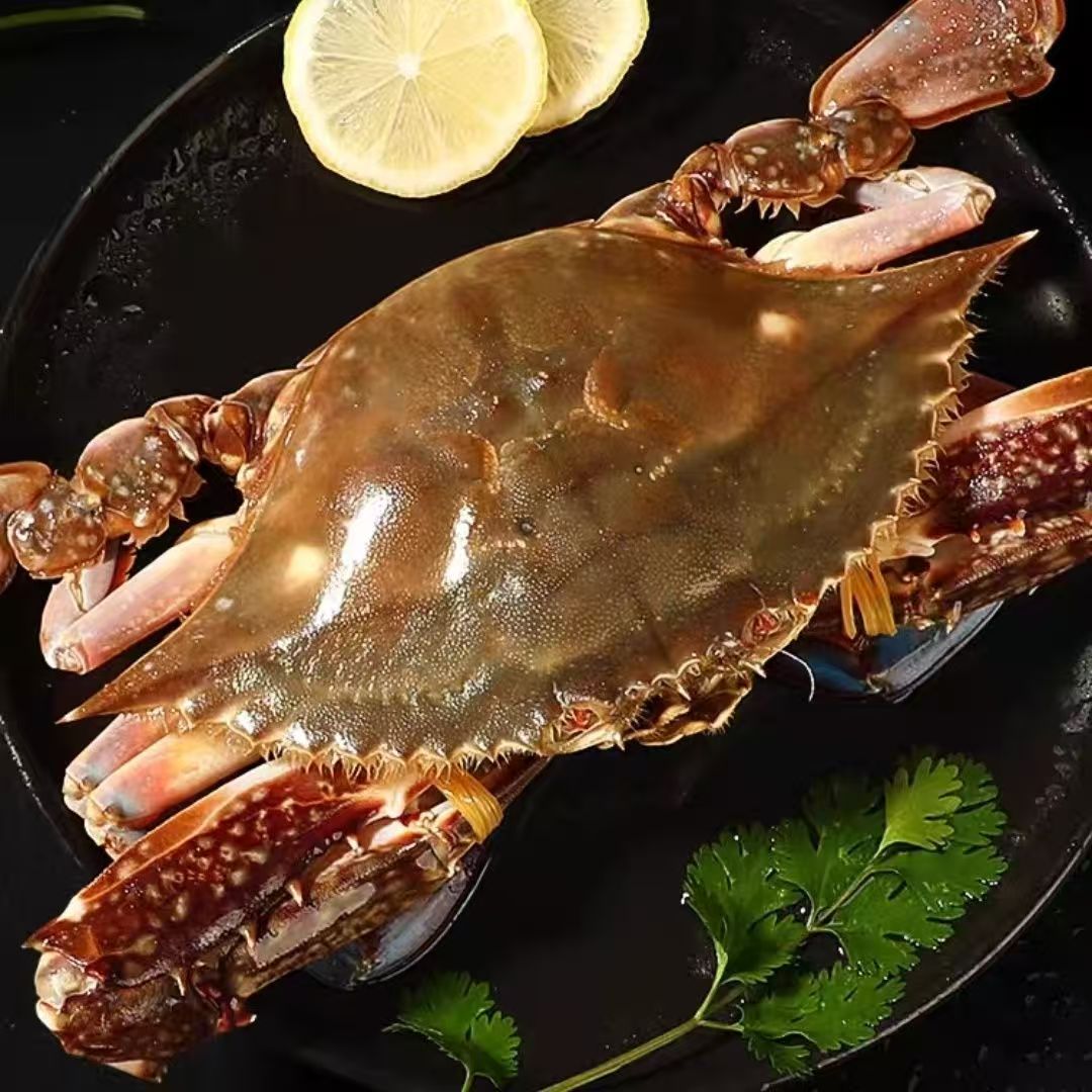 特大【冻蟹爆炒】连云港发货4-6俩到手4斤