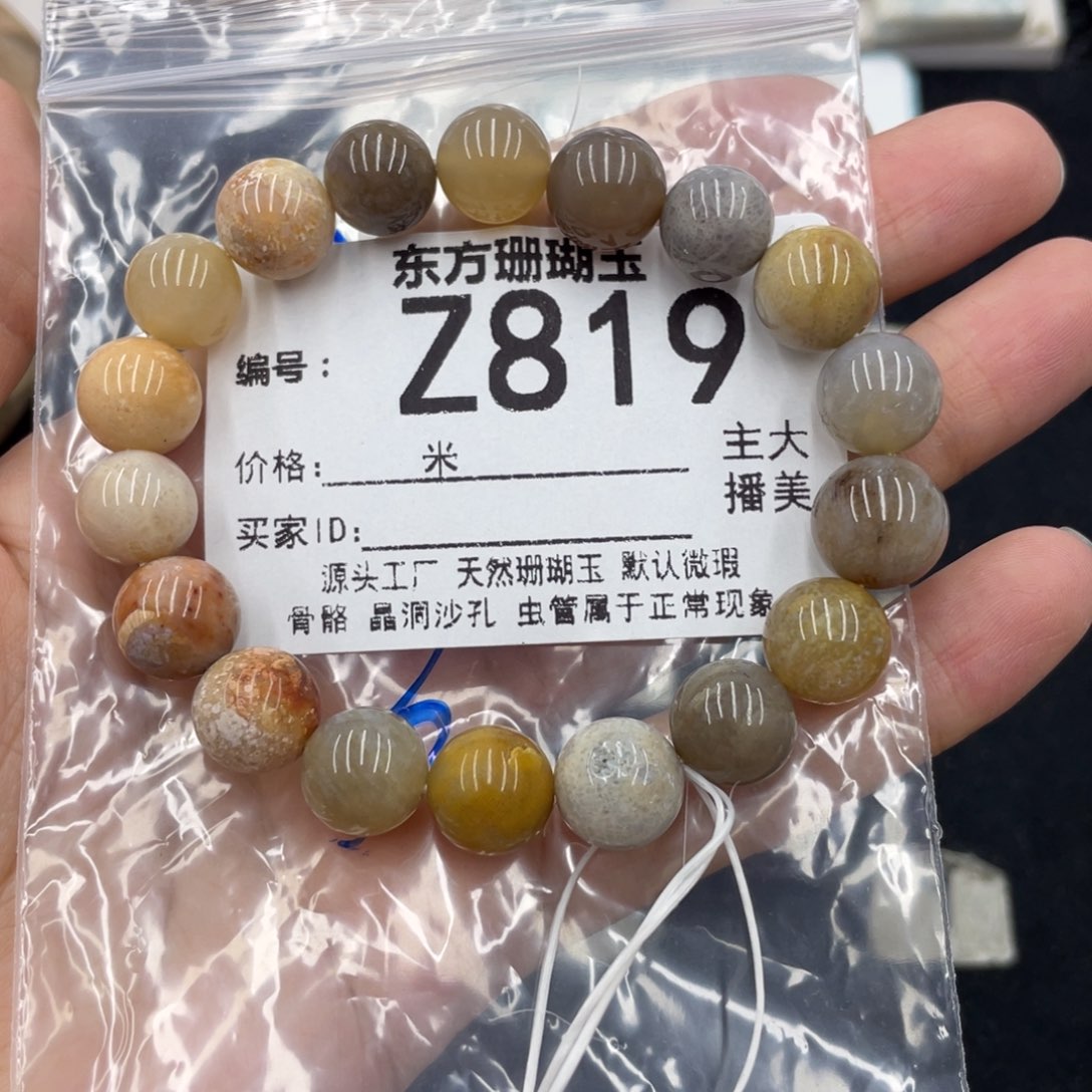 硅化珊瑚（珊瑚玉）未镶嵌颈饰