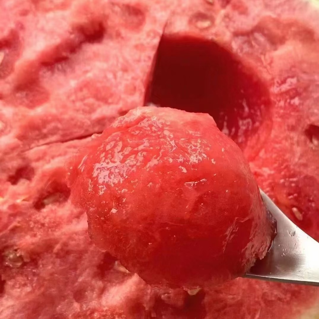 麒麟西瓜(5-6斤)一颗云南省