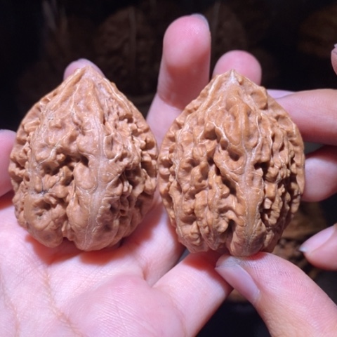 把件文玩核桃东北野生楸子小园 182