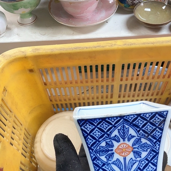 碗开播啦…..开播啦