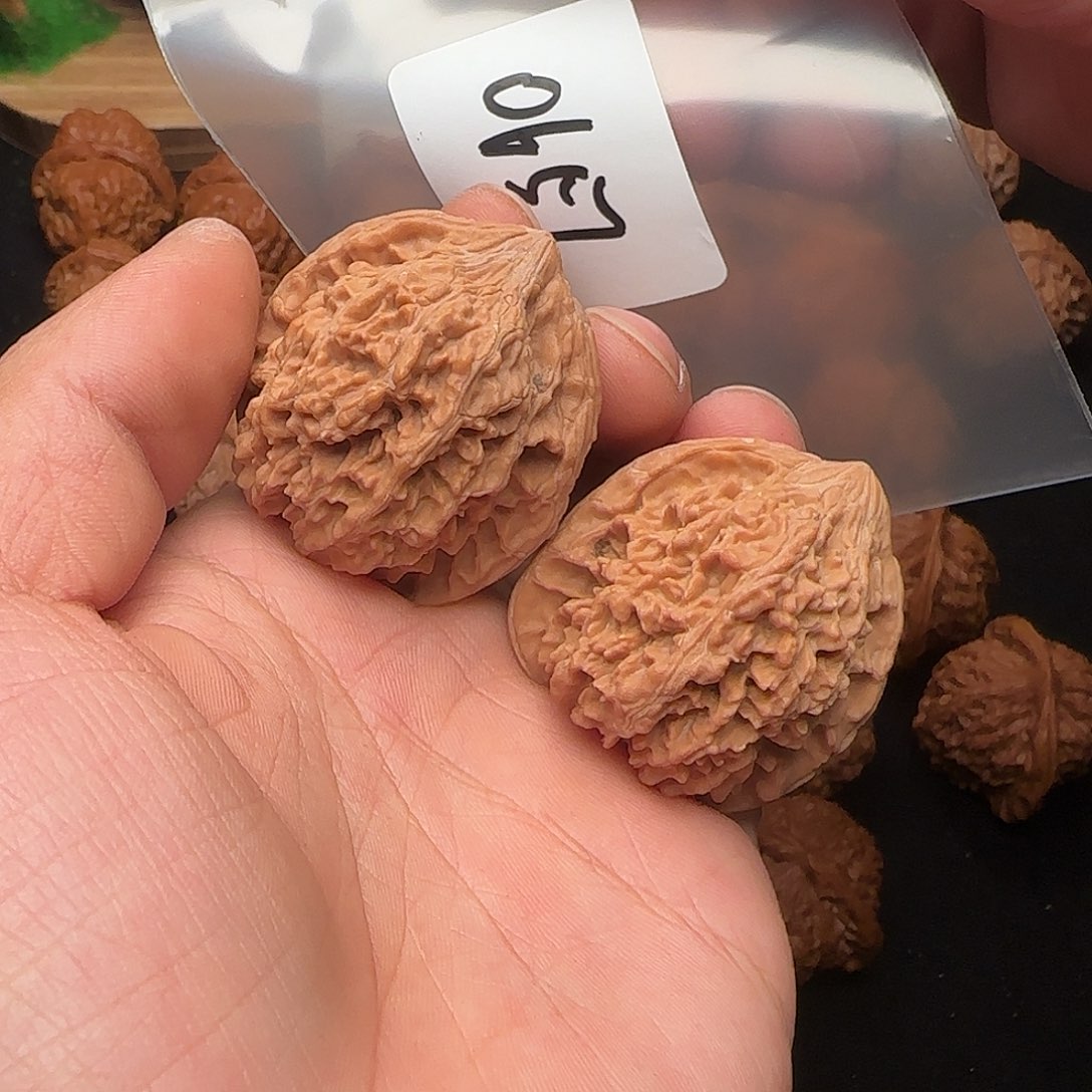 把件文玩核桃0657满天星40