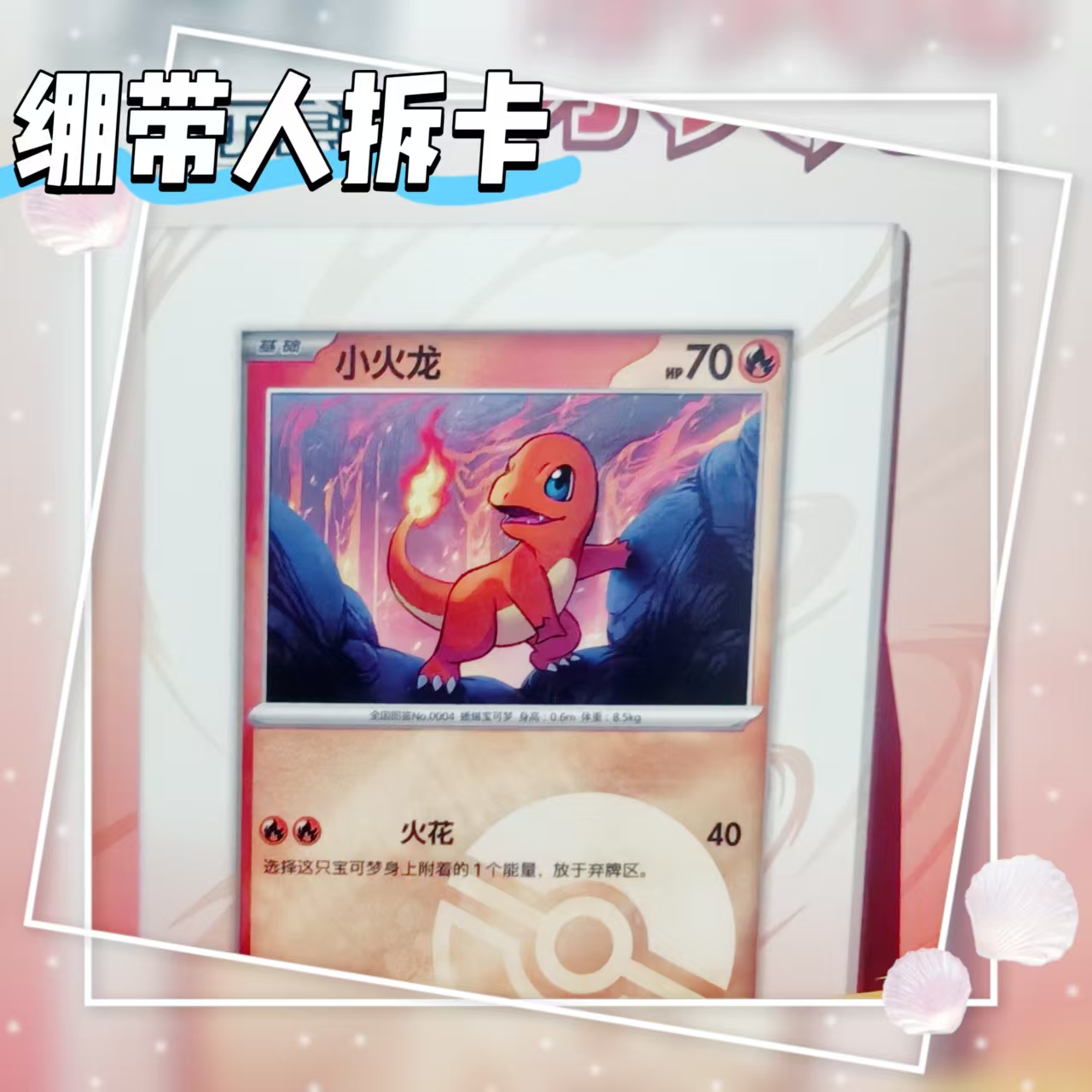 最初的伙伴展示礼盒火爆拆卡默认代拆