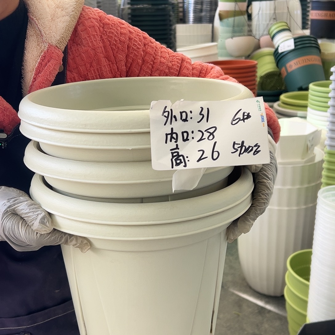 青山盆6#米白色5个无托