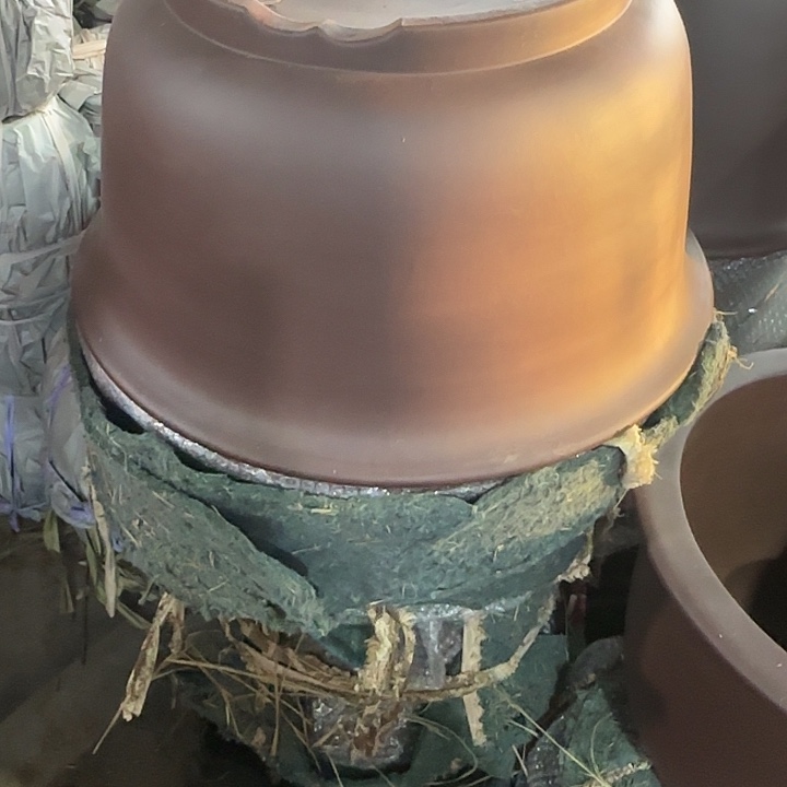 大京中小号一只        