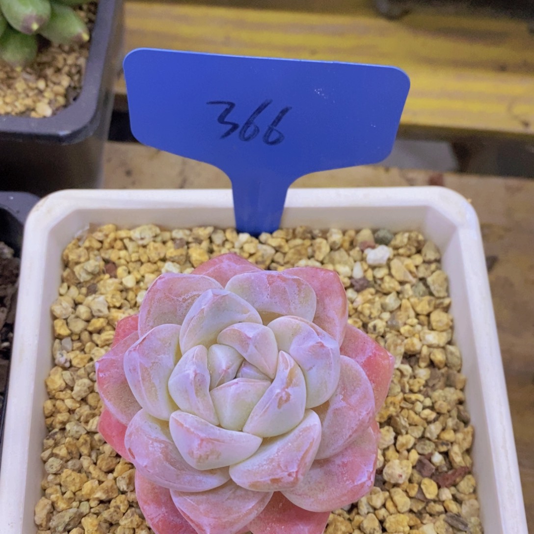 清货转场，一单包邮，满5宋1