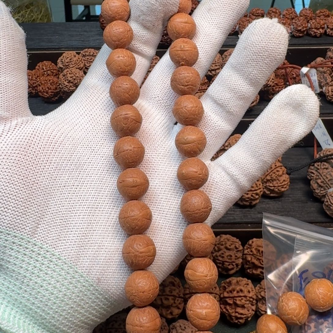 心***陈金刚菩提手串12凤眼