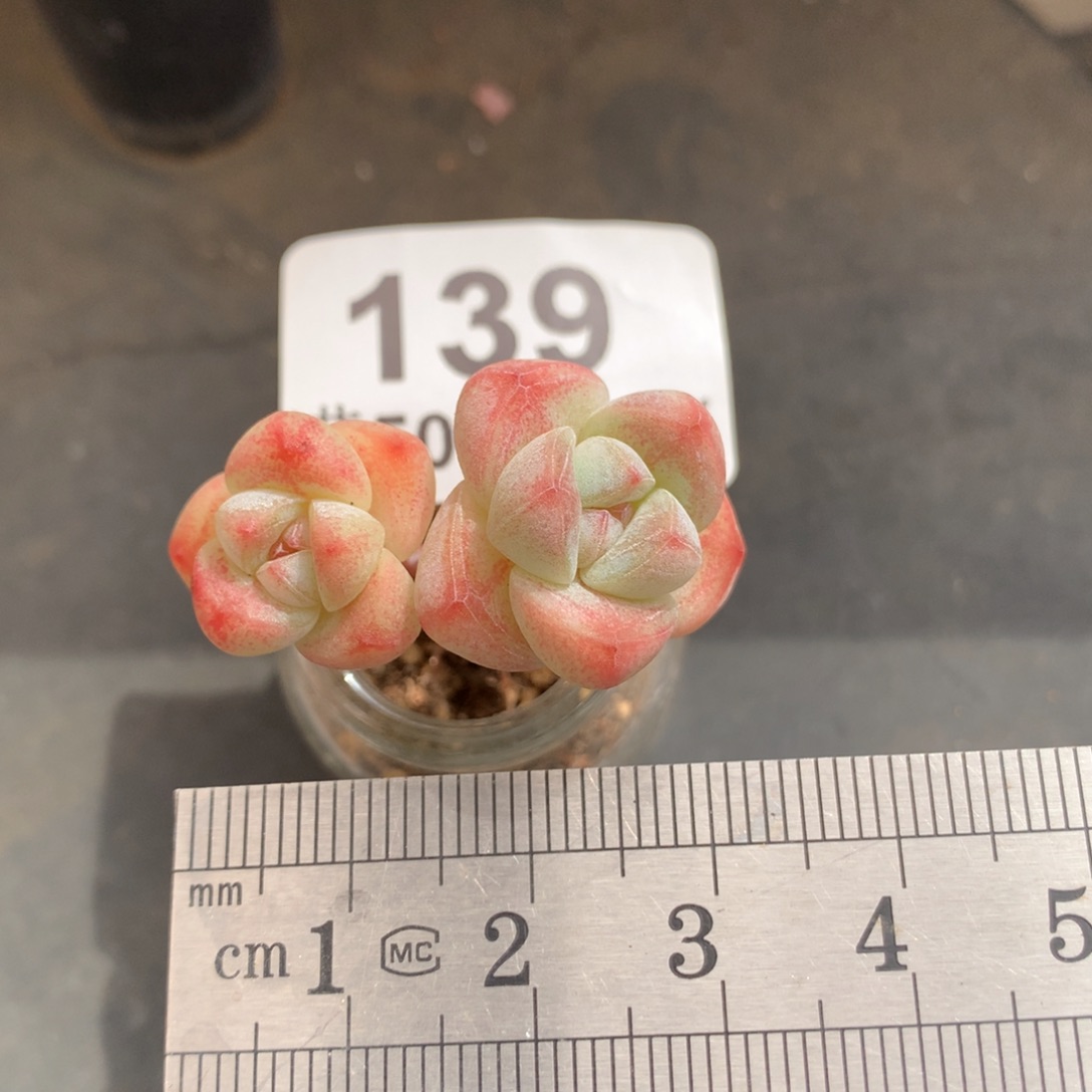 139。小腿玻璃瓶冰玉。