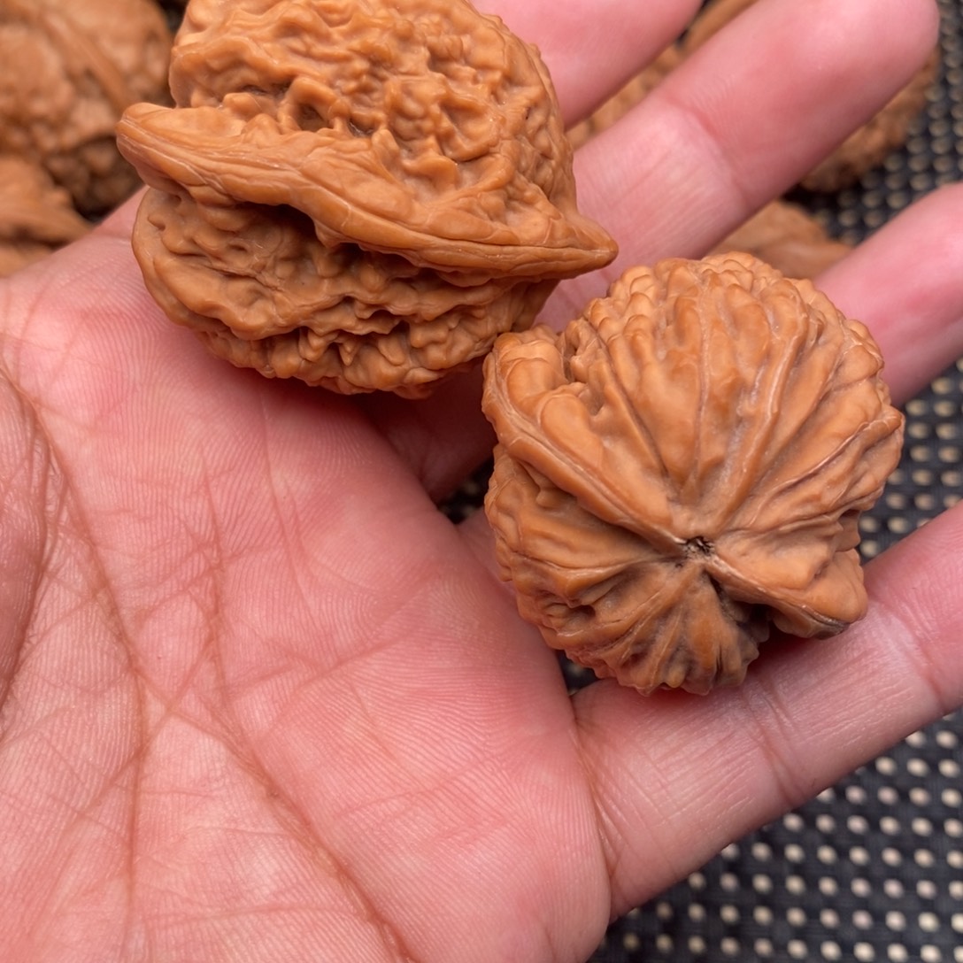 奶***糖大叶紫檀（黑酸枝木类）蚂蚁王