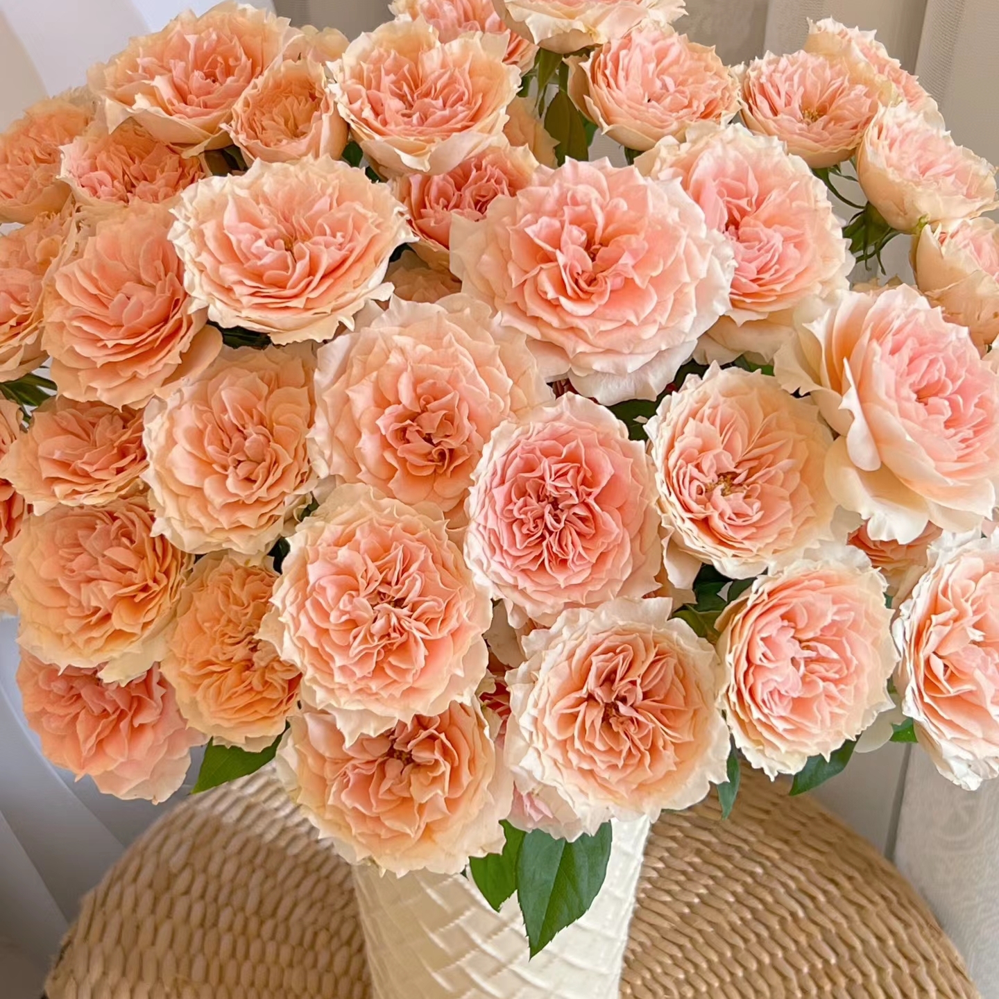 顺顺 杏色啦啦队玫瑰9支+1支防损 拍2单包邮已发货不支持退款