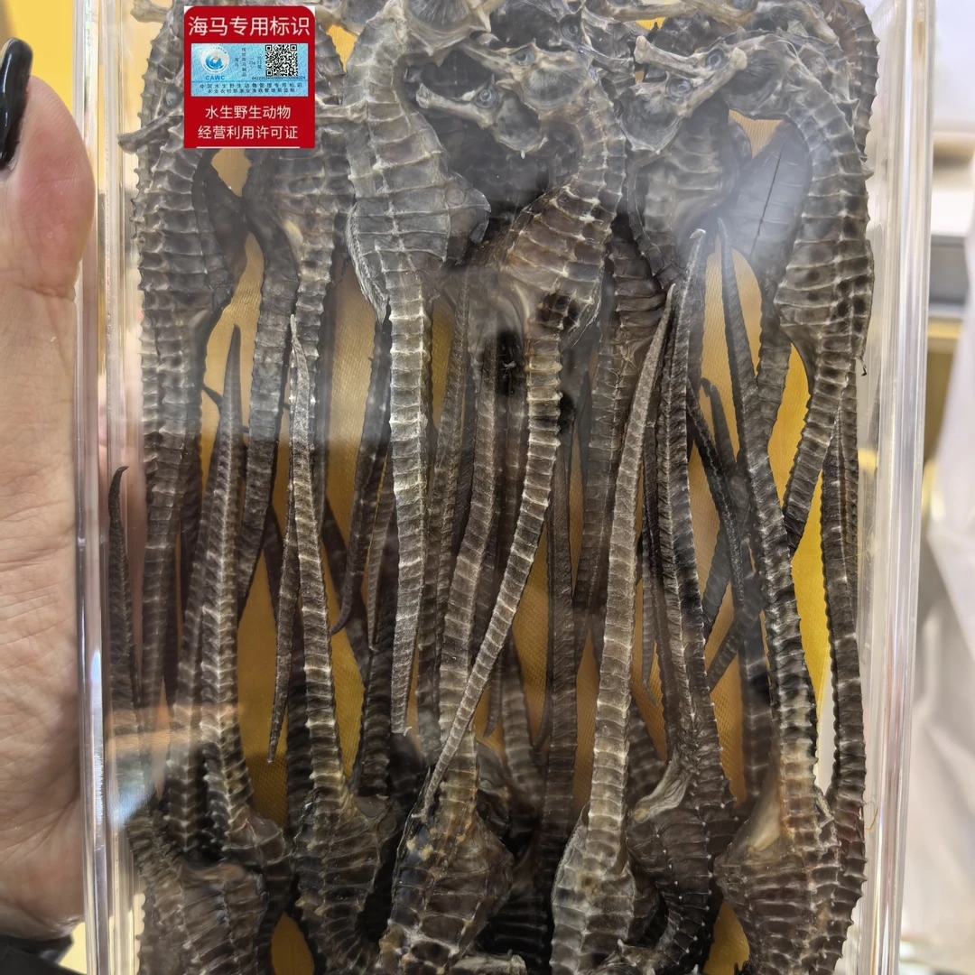 华姐同款海马一盒50克