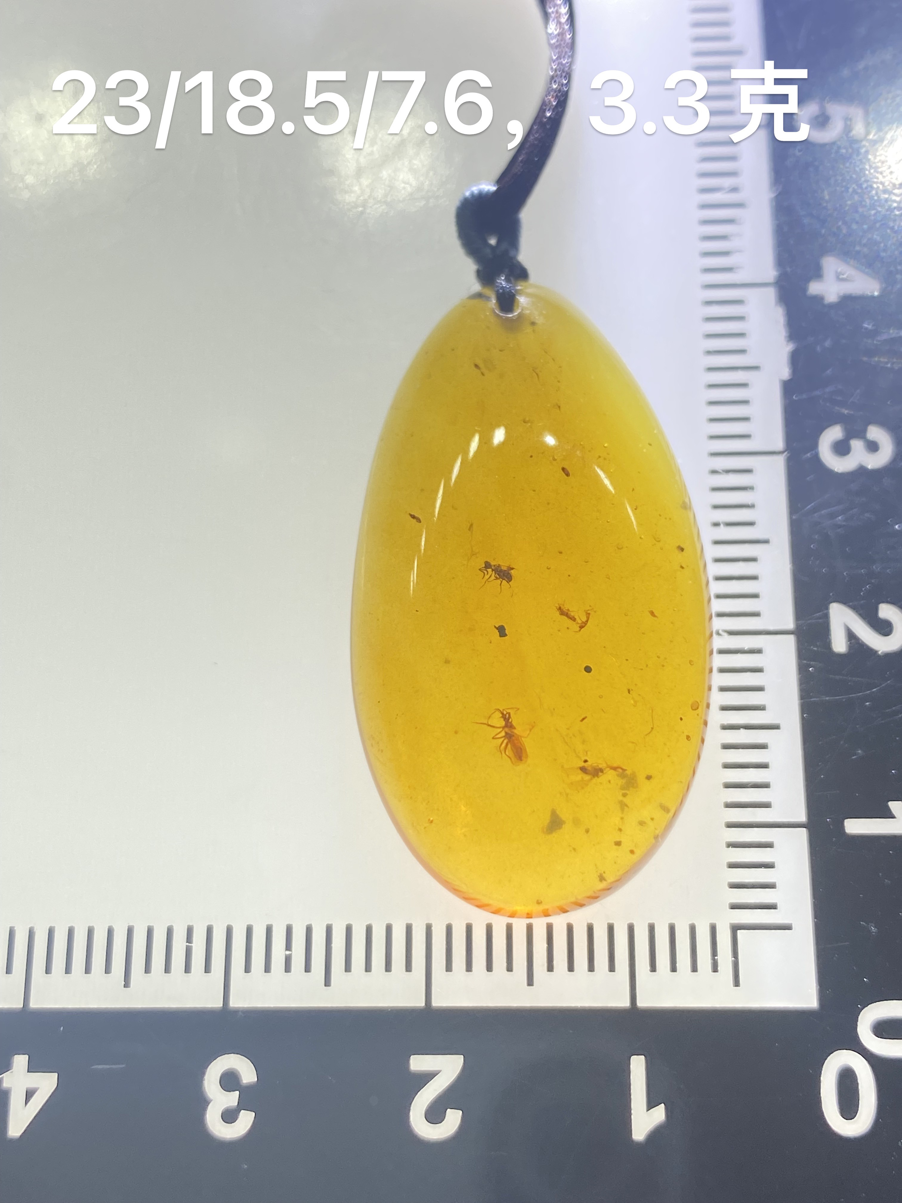 天然缅甸琥珀～一珀多虫吊坠