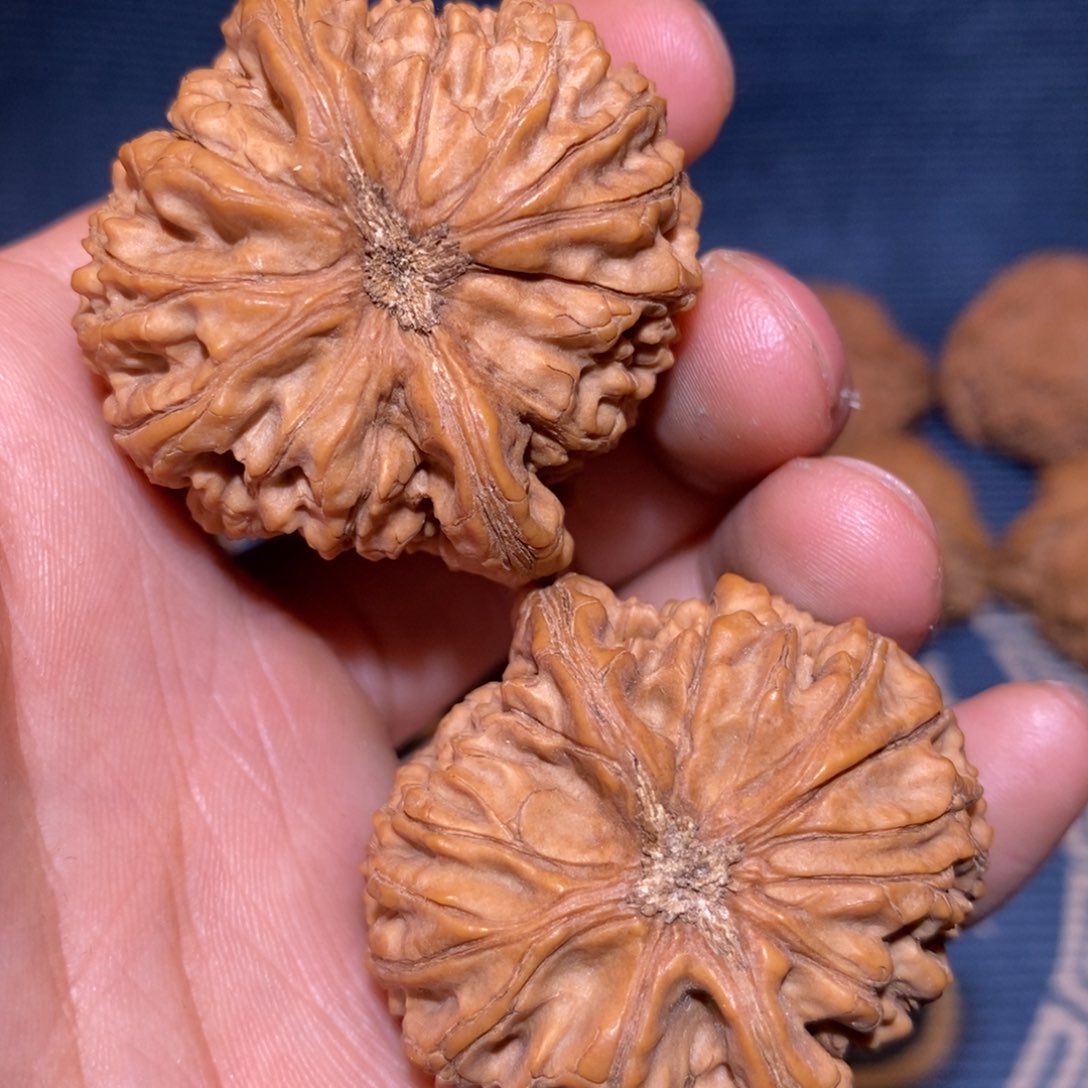 41.5尺 全品无修 白茬   水龙纹