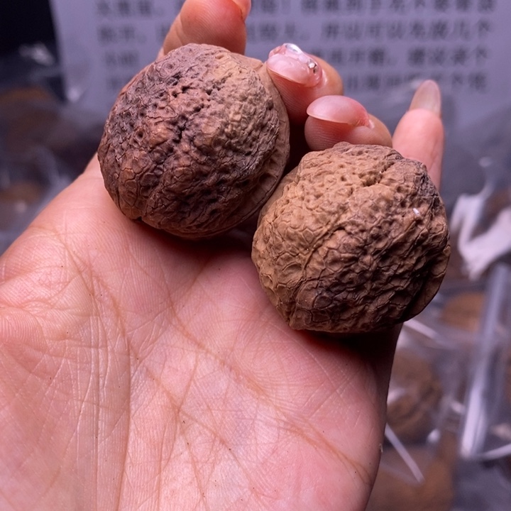 核桃云南野生铁核桃55号36