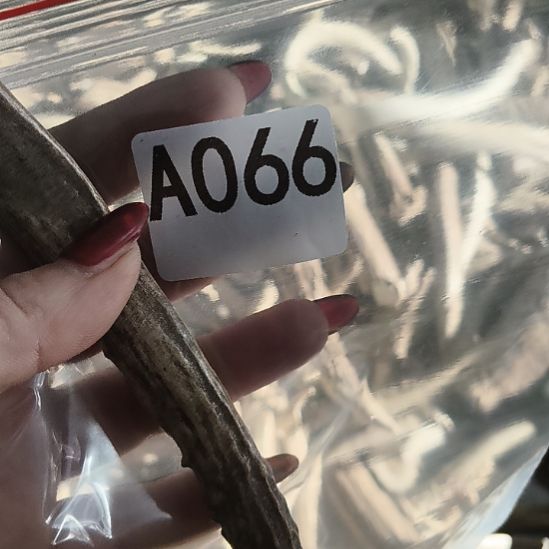 菜***羊鹿角鹿角鹿角鹿角鹿角