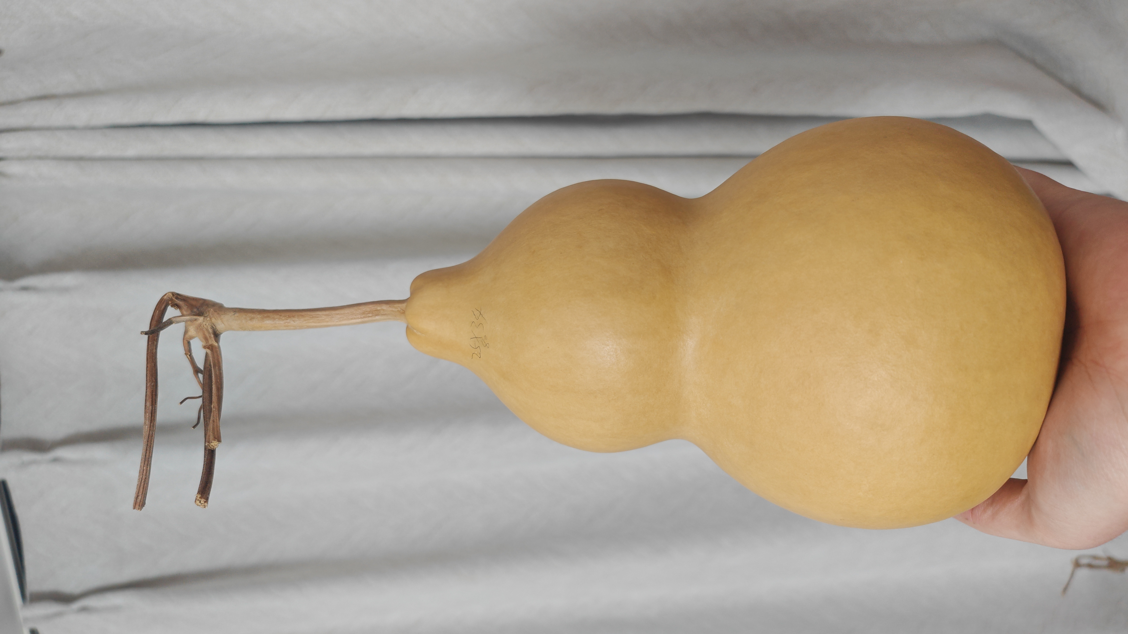 中号通货精品可摆放客厅阳台玄关办公室空调（乱拍随机发货）