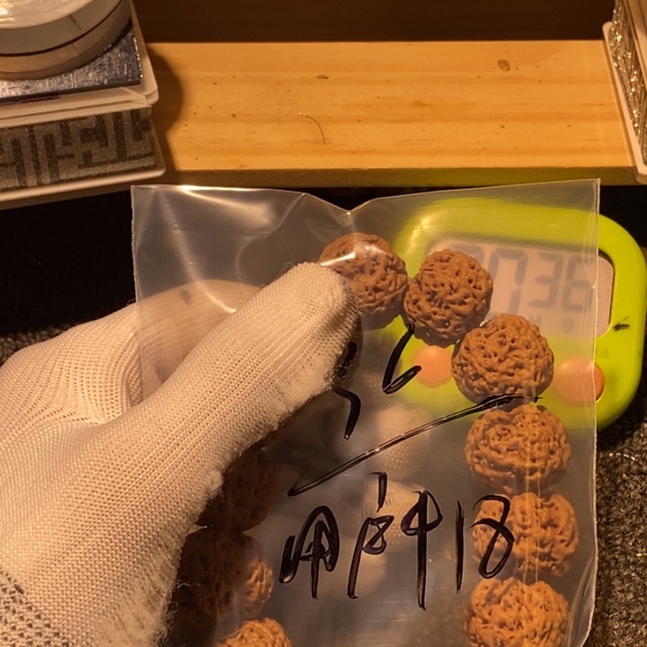 用***3金刚菩提吊坠我想吃东西我自己来嘛