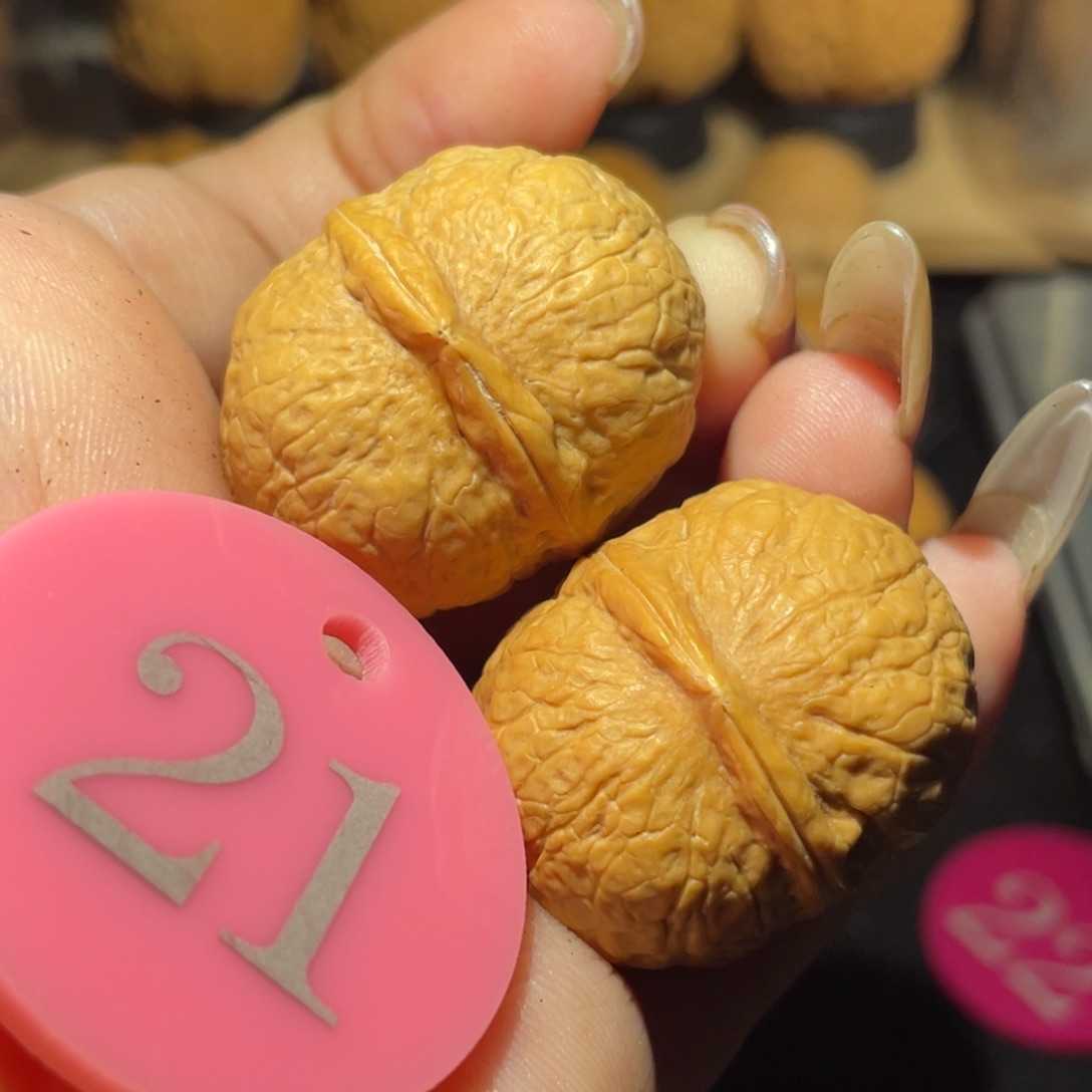 龙珠32尺寸核桃。   