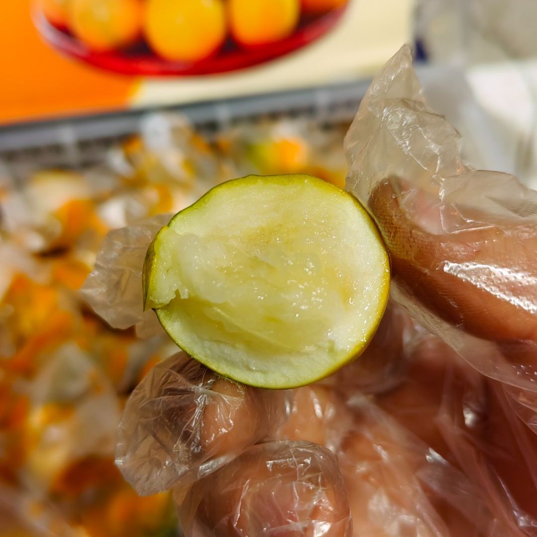 脆蜜金柑，皮薄多汁，纯甜不涩口，15.8元1斤（500克）广西壮族自治区