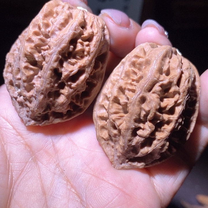 文玩核桃把件东北野生楸子小美96