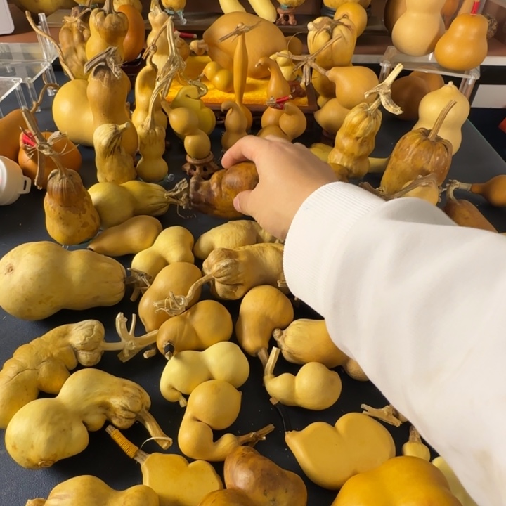 旋***姐绒面时光很快就好尴尬健健康康斤斤计较哈哈