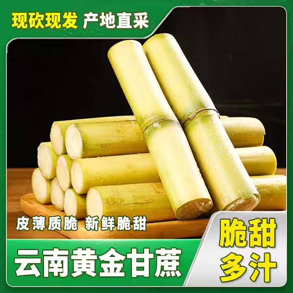 云南新鲜甘蔗黄金甘蔗现砍现发脆甜多汁当季水果甘蔗新鲜脆甜