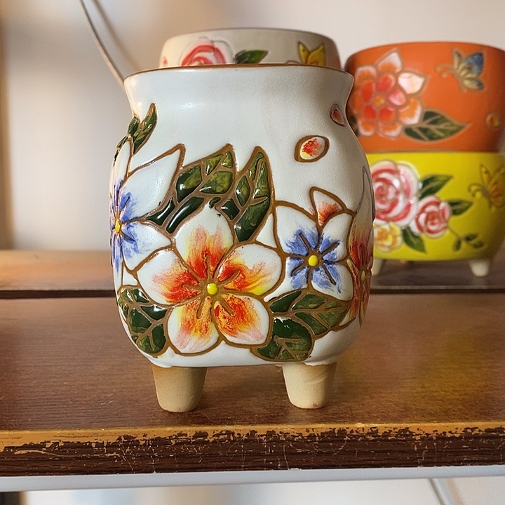 韩式多肉植物花盆