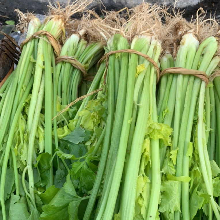 湖南永州道县大集 本地芹菜