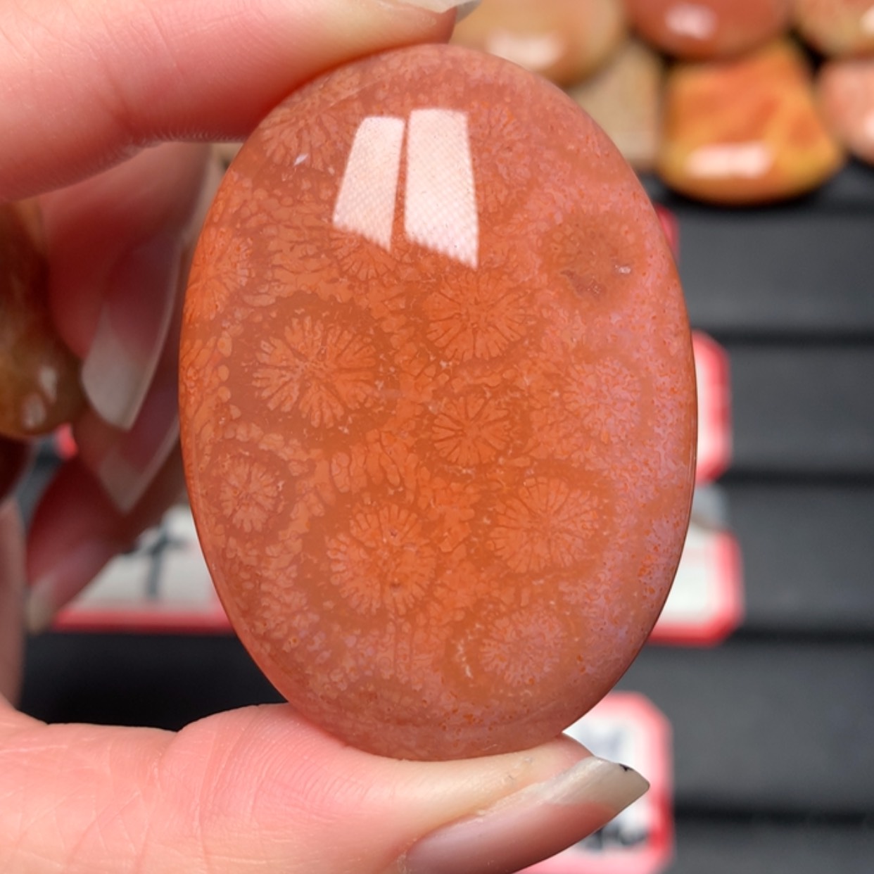 【闪购商品】硅化玉颈饰未镶嵌1*2