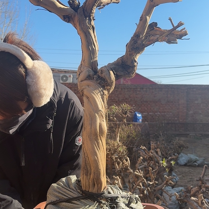 完全开放11111111