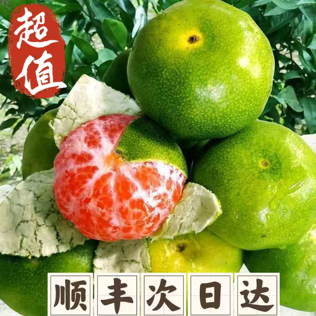 【顺丰次日达】浙江省涌泉蜜桔橘子正宗临海特早蜜桔新鲜橘子桔子水果浙江省