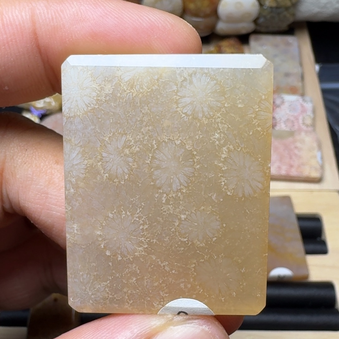 硅化玉纯天然色有机玉石保真色未镶嵌