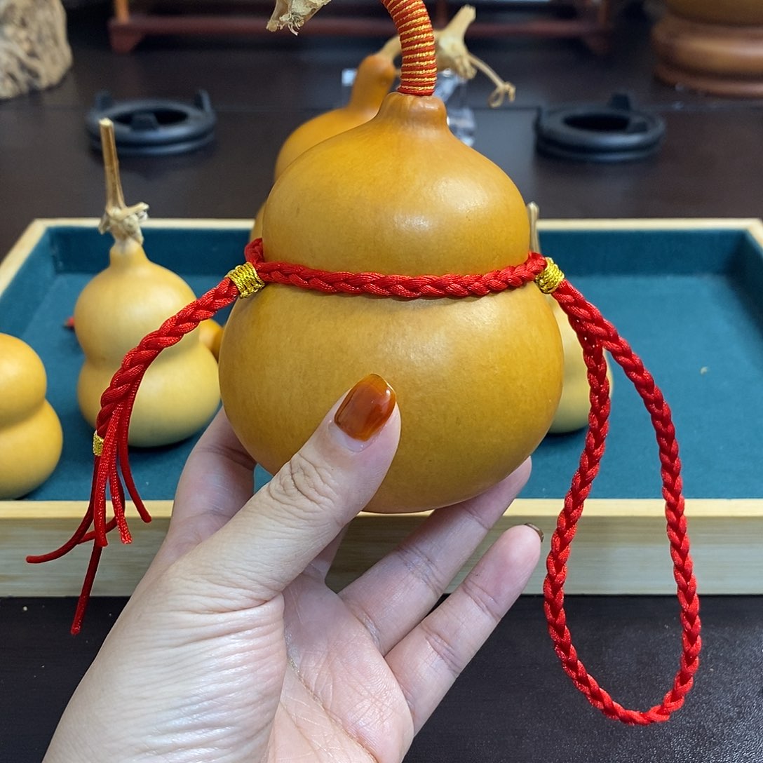 *****只要你喜欢我就宠！！！