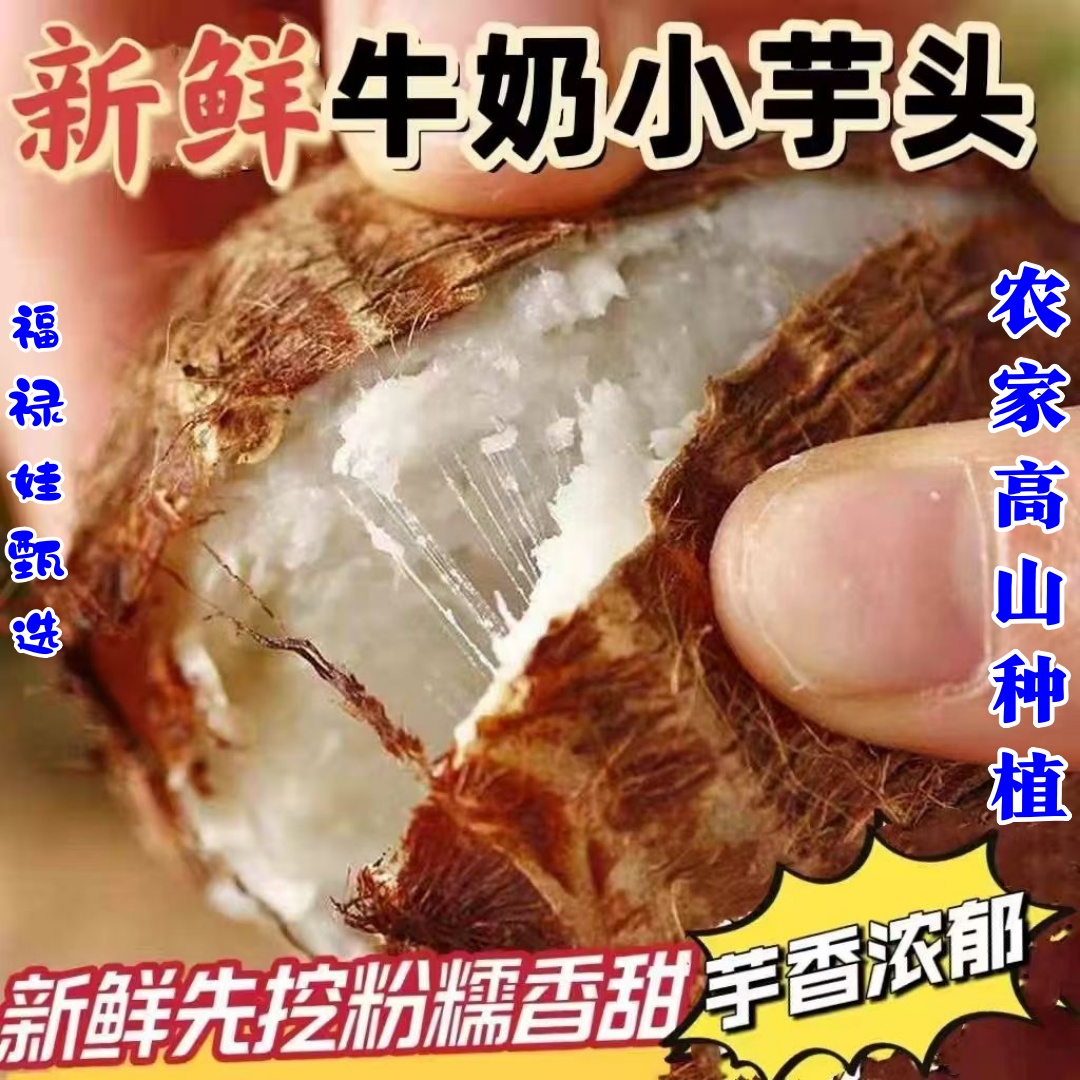【牛奶小芋头】云南高山新鲜现挖牛奶小芋头软糯香甜当季新鲜芋头