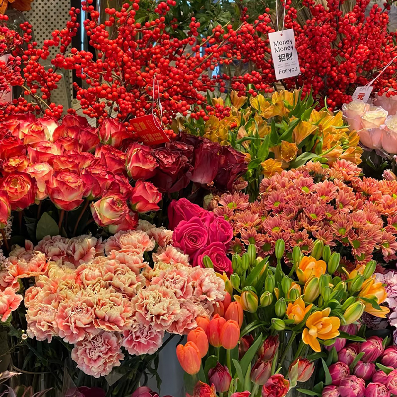 【基地优选】粉玫瑰+香槟玫瑰+多头玫瑰+洋桔梗+配草 云南基地鲜花