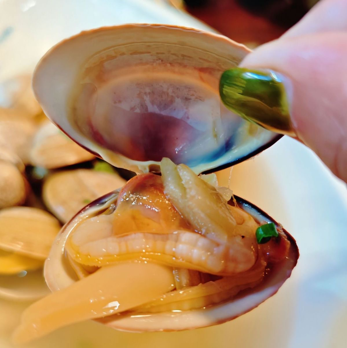 东港特大黄蚬子（一斤15-17粒）丹东黄蚬子鲜活发货顺丰包邮