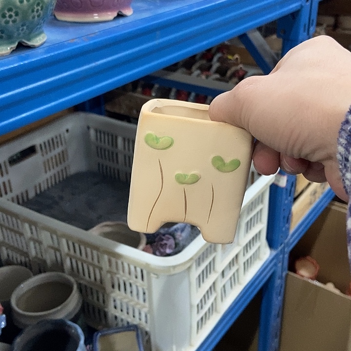 花盆单场满9.9发货6.5×7