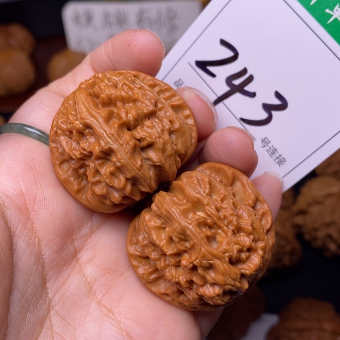 把件文玩核桃243白狮子3.7