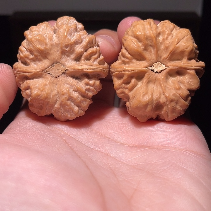 手串/手链核桃0435   