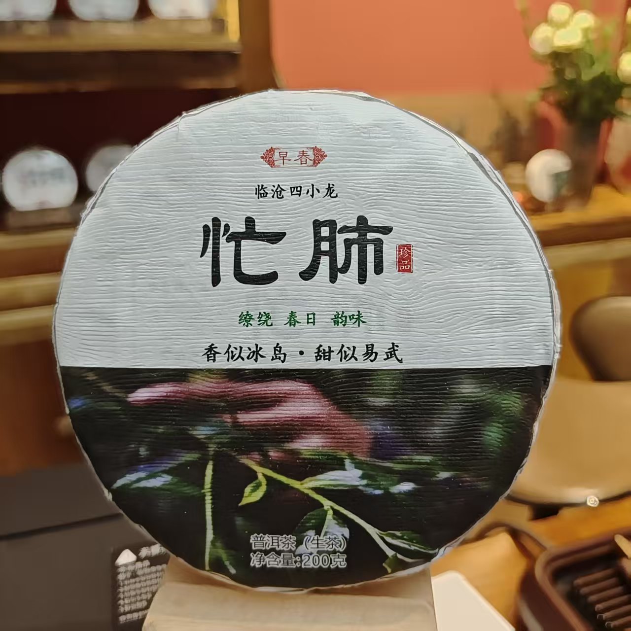 【永德 · 忙肺 2025年】临沧四小龙 头春 纯料 普洱生茶