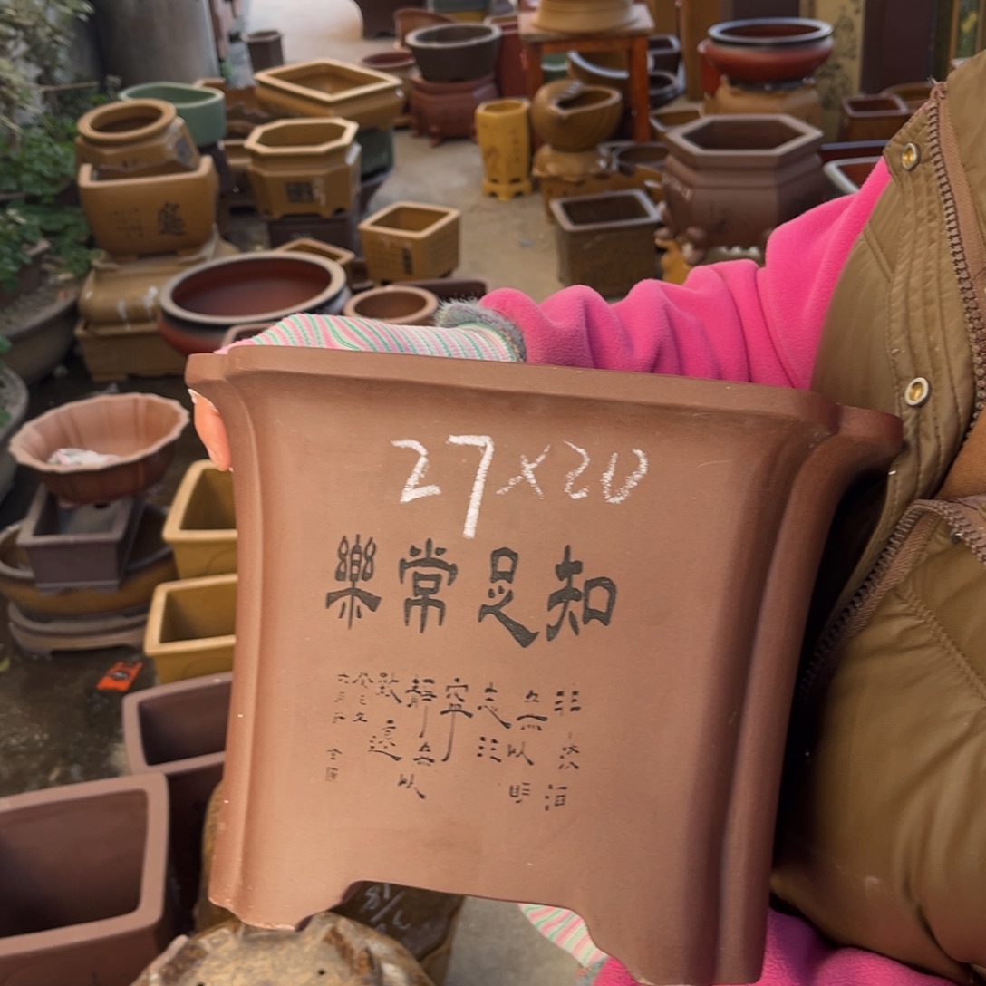 花盆紫砂盆景艺术